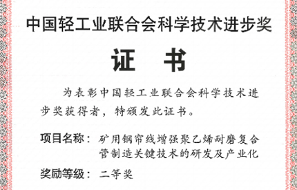 中国九游会官网荣获2024年度中轻联科学技术进步奖